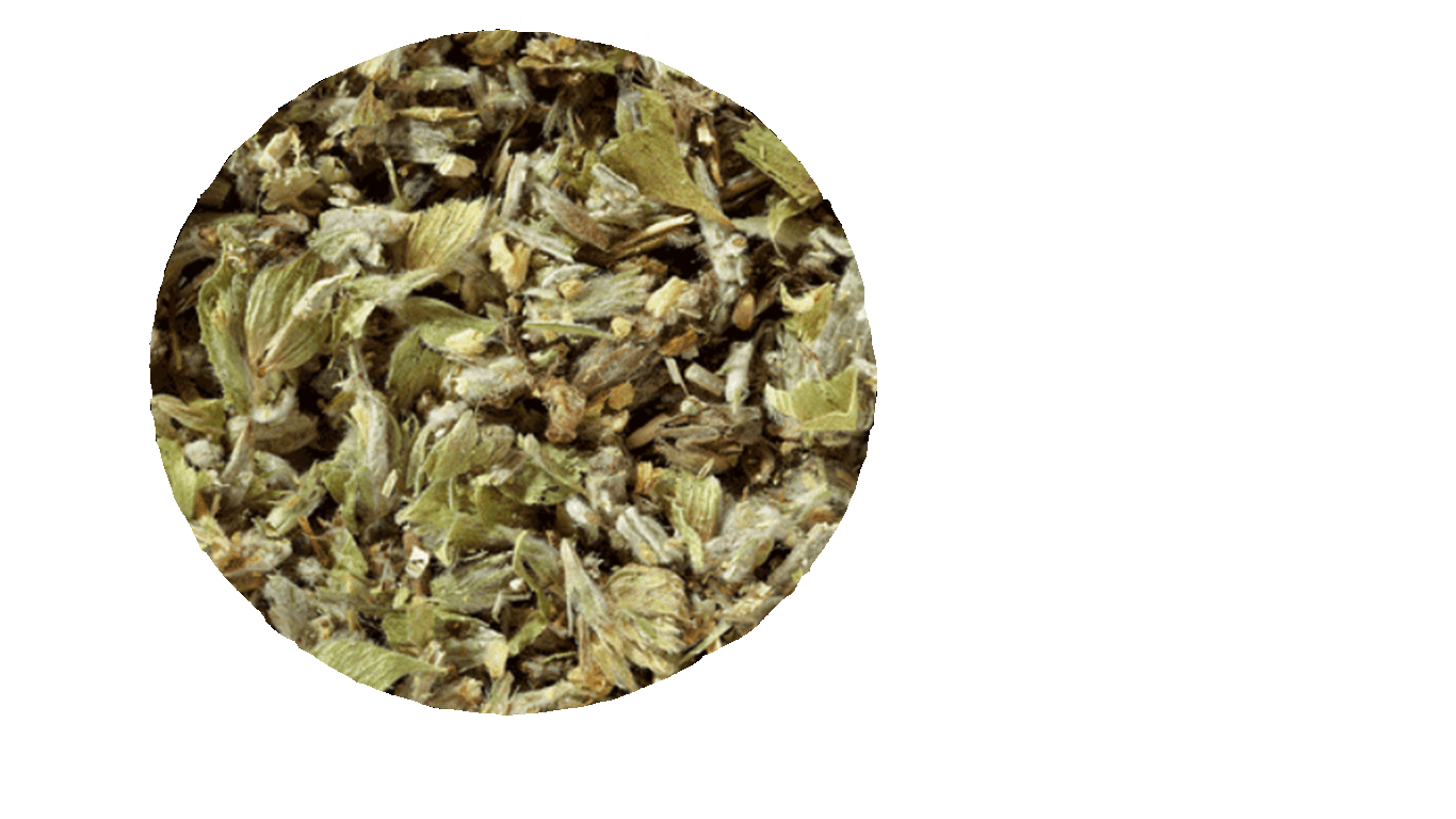 kraeutertee-sommelier-teesa-Greek-Mountain-Tea-0736649381797