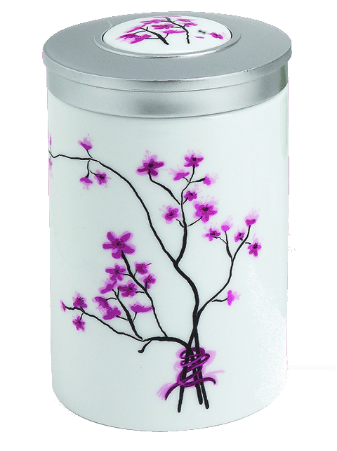 teezubehoer-porzellanteedose-tealogic-4260132972866